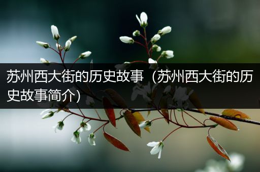 苏州西大街的历史故事（苏州西大街的历史故事简介）