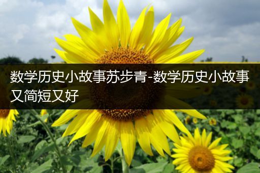 数学历史小故事苏步青-数学历史小故事又简短又好