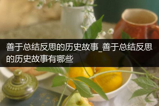 善于总结反思的历史故事_善于总结反思的历史故事有哪些