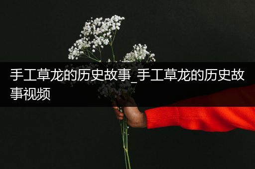 手工草龙的历史故事_手工草龙的历史故事视频