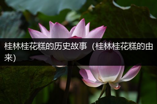 桂林桂花糕的历史故事（桂林桂花糕的由来）