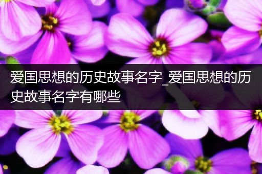 爱国思想的历史故事名字_爱国思想的历史故事名字有哪些