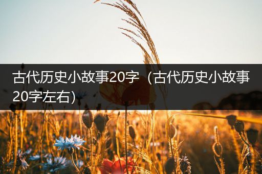 古代历史小故事20字（古代历史小故事20字左右）