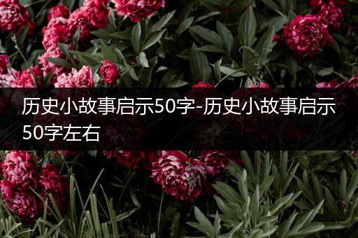 历史小故事启示50字-历史小故事启示50字左右