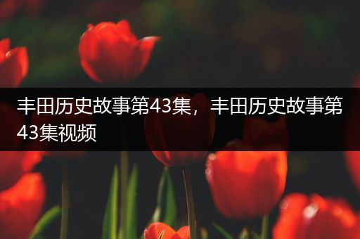 丰田历史故事第43集，丰田历史故事第43集视频