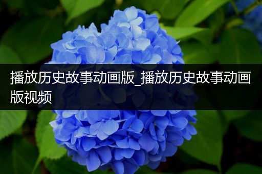 播放历史故事动画版_播放历史故事动画版视频