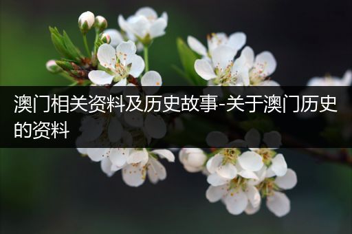 澳门相关资料及历史故事-关于澳门历史的资料