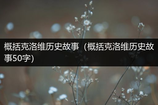 概括克洛维历史故事（概括克洛维历史故事50字）