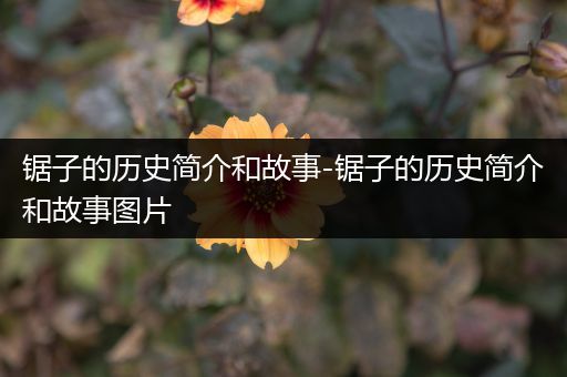 锯子的历史简介和故事-锯子的历史简介和故事图片