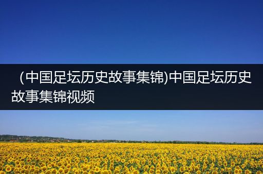 （中国足坛历史故事集锦)中国足坛历史故事集锦视频