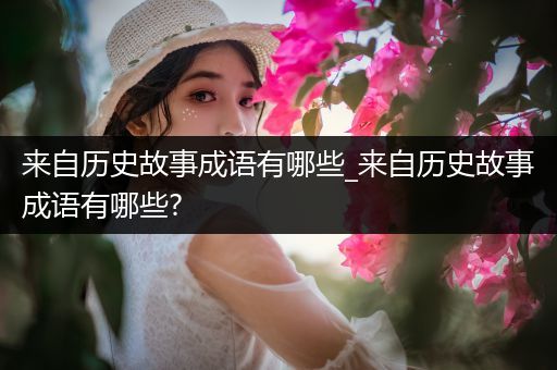 来自历史故事成语有哪些_来自历史故事成语有哪些?