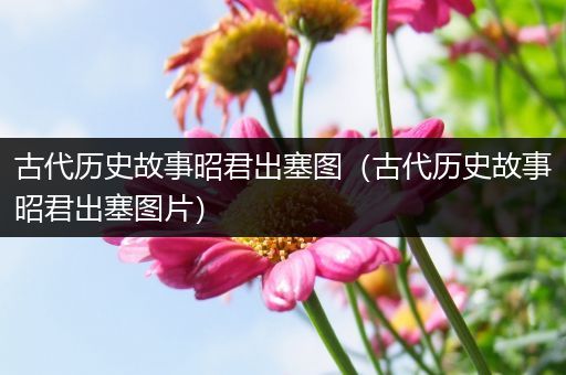 古代历史故事昭君出塞图（古代历史故事昭君出塞图片）