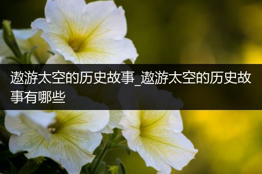 遨游太空的历史故事_遨游太空的历史故事有哪些