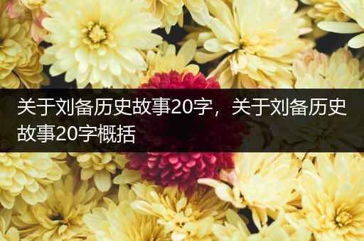 关于刘备历史故事20字，关于刘备历史故事20字概括