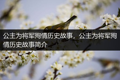 公主为将军殉情历史故事，公主为将军殉情历史故事简介