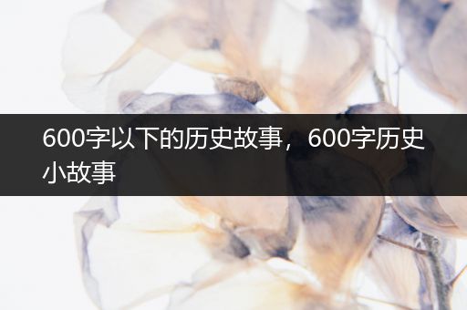 600字以下的历史故事，600字历史小故事