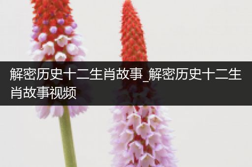 解密历史十二生肖故事_解密历史十二生肖故事视频