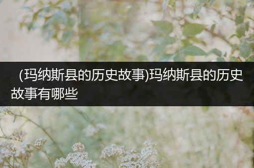 （玛纳斯县的历史故事)玛纳斯县的历史故事有哪些