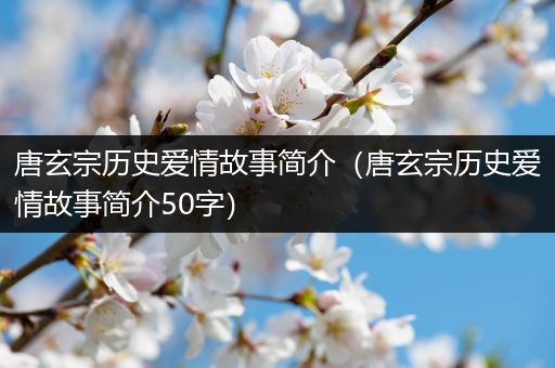 唐玄宗历史爱情故事简介（唐玄宗历史爱情故事简介50字）