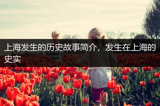 上海发生的历史故事简介，发生在上海的史实