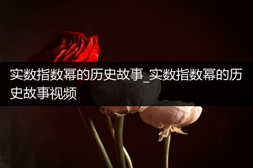 实数指数幂的历史故事_实数指数幂的历史故事视频