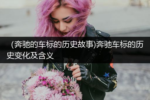 （奔驰的车标的历史故事)奔驰车标的历史变化及含义