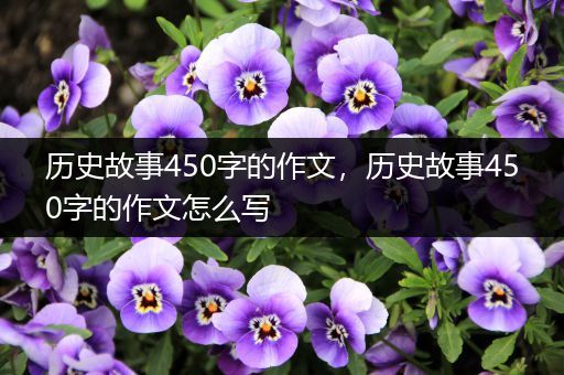 历史故事450字的作文，历史故事450字的作文怎么写