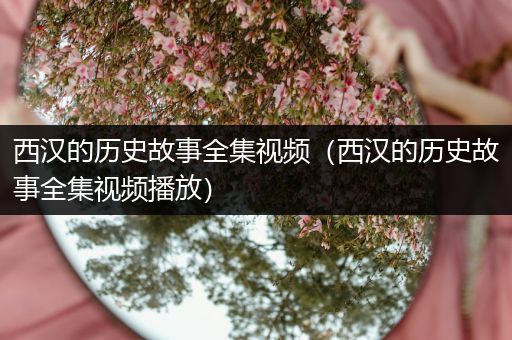 西汉的历史故事全集视频（西汉的历史故事全集视频播放）