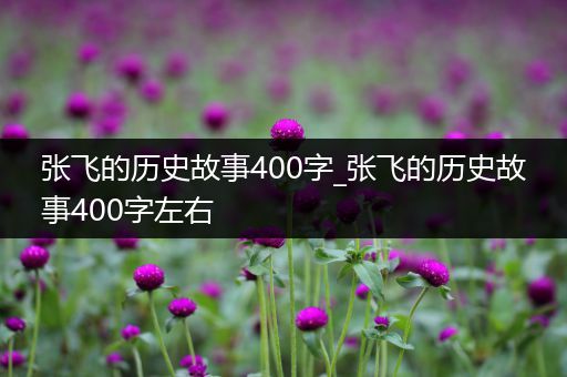 张飞的历史故事400字_张飞的历史故事400字左右