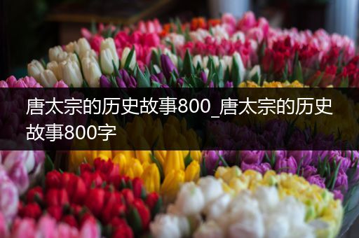 唐太宗的历史故事800_唐太宗的历史故事800字