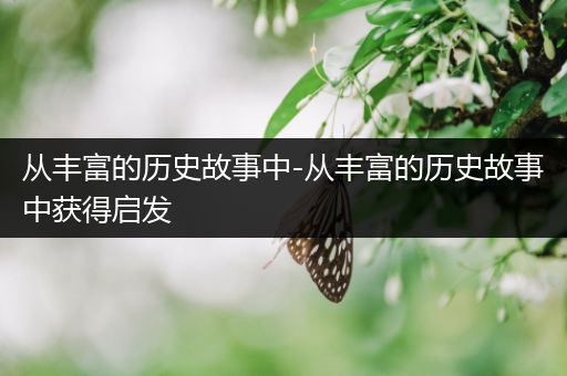 从丰富的历史故事中-从丰富的历史故事中获得启发