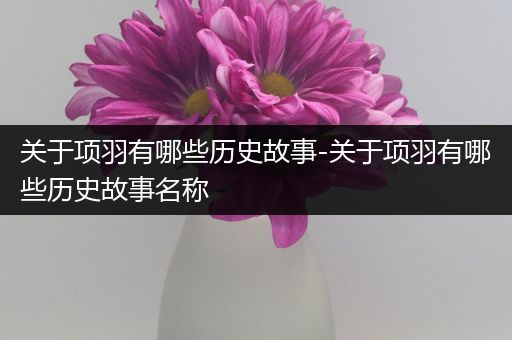 关于项羽有哪些历史故事-关于项羽有哪些历史故事名称