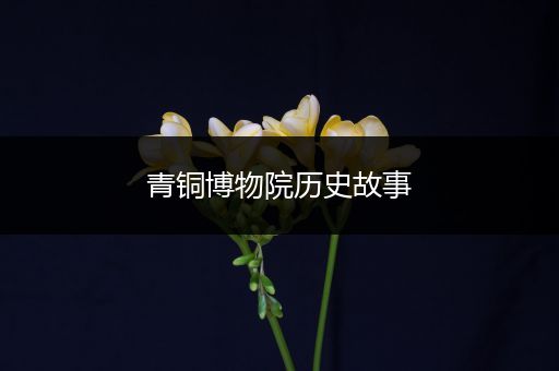 青铜博物院历史故事