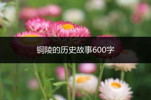 铜陵的历史故事600字