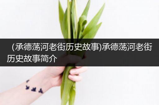 （承德荡河老街历史故事)承德荡河老街历史故事简介