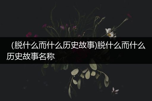 （脱什么而什么历史故事)脱什么而什么历史故事名称