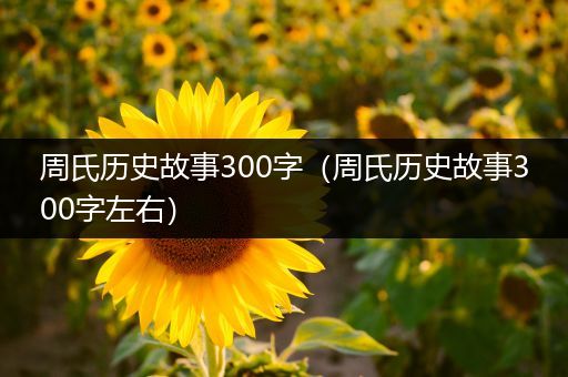 周氏历史故事300字（周氏历史故事300字左右）