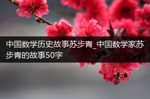 中国数学历史故事苏步青_中国数学家苏步青的故事50字