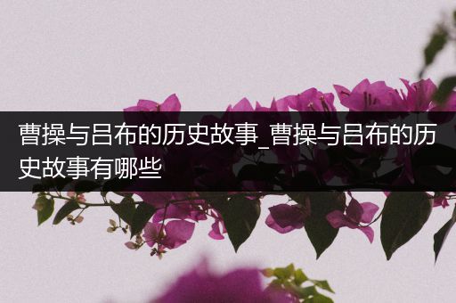 曹操与吕布的历史故事_曹操与吕布的历史故事有哪些