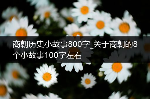 商朝历史小故事800字_关于商朝的8个小故事100字左右