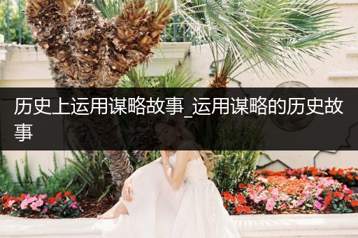 历史上运用谋略故事_运用谋略的历史故事