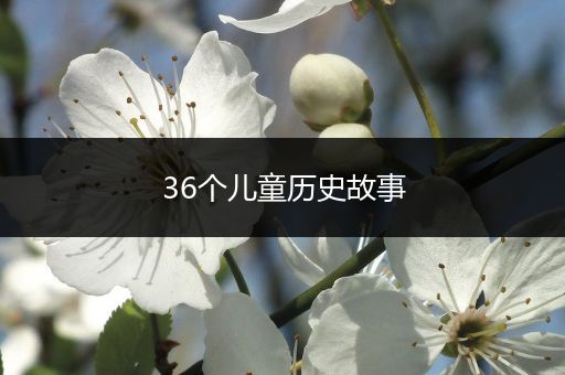 36个儿童历史故事