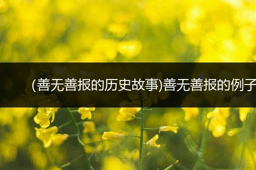 （善无善报的历史故事)善无善报的例子