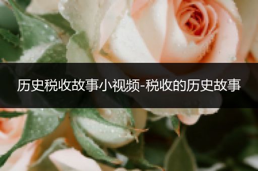 历史税收故事小视频-税收的历史故事