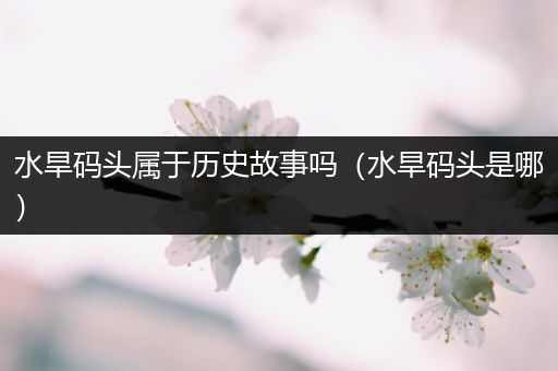 水旱码头属于历史故事吗（水旱码头是哪）