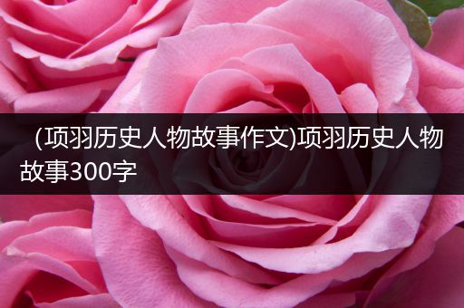 （项羽历史人物故事作文)项羽历史人物故事300字