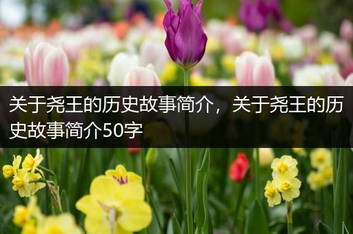 关于尧王的历史故事简介，关于尧王的历史故事简介50字