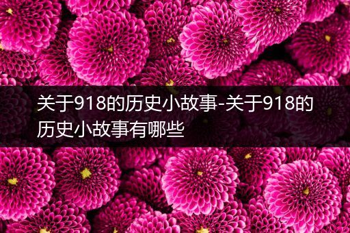 关于918的历史小故事-关于918的历史小故事有哪些