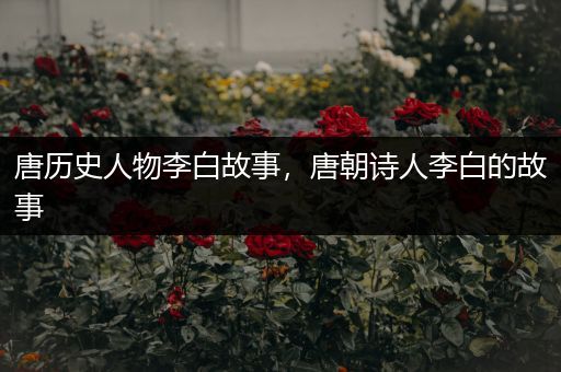 唐历史人物李白故事，唐朝诗人李白的故事