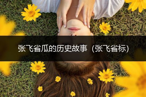 张飞省瓜的历史故事（张飞省标）